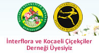 İnterflora