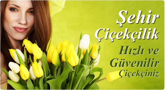 �ehir �i�ek�ilik